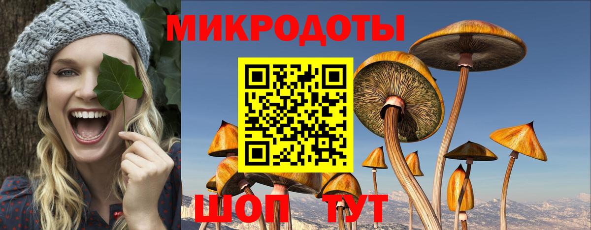 Гатчина  Псилоцибиновые грибы MAGIC MUSHROOMS  Вход с VPN  купить наркоту  Псилоцибиновые грибы MAGIC MUSHROOMS 