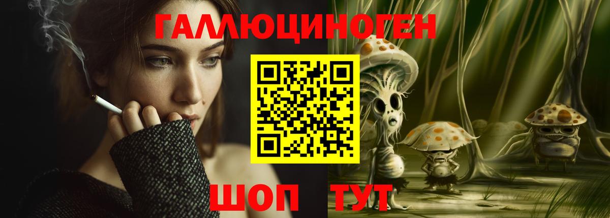 Галлюциногенные грибы Cubensis Гатчина